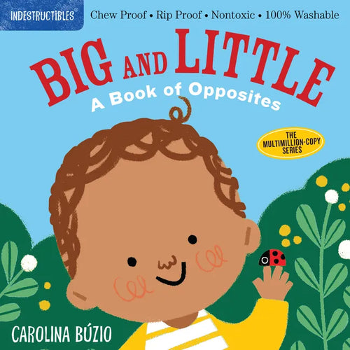 Indestructibles: Big and Little: A Book of Opposites: Chew Proof - Rip Proof - Nontoxic - 100% Washable (Book for Babies, Newborn Books, Safe to Chew) - Paperback