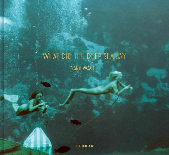What Did the Deep Sea Say - Hardcover