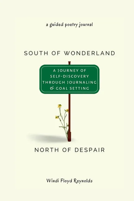 South of Wonderland, North of Despair - Paperback