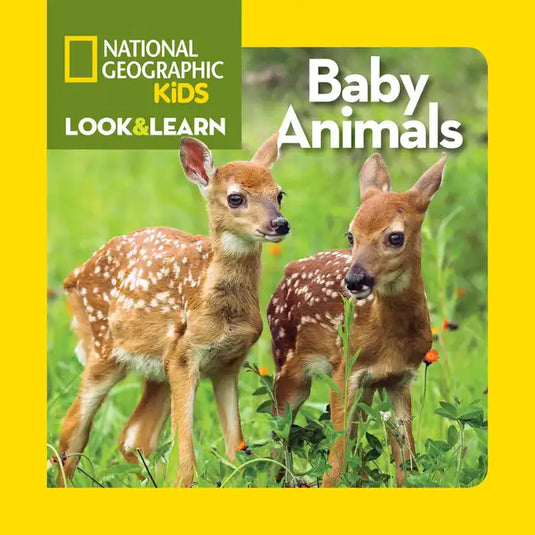 Baby Animals - Board Book