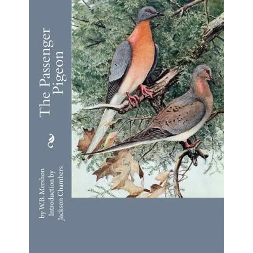 The Passenger Pigeon - Paperback