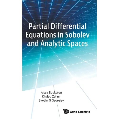 Partial Differential Equations in Sobolev and Analytic Spaces - Hardcover