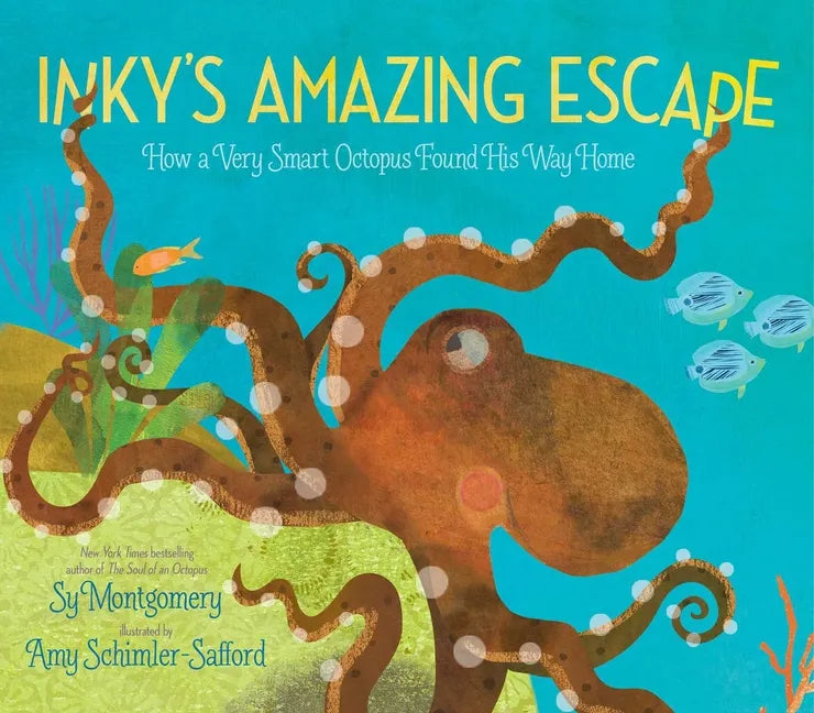 Inky's Amazing Escape: How a Very Smart Octopus Found His Way Home - Paperback