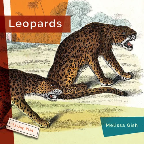 Leopards - Library Binding