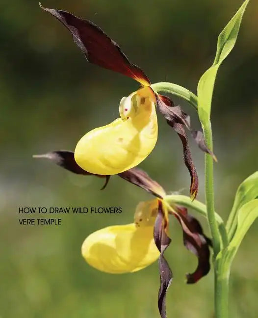 How to Draw Wild Flowers (Replica Edition) - Paperback
