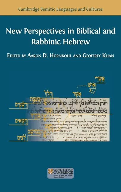 New Perspectives in Biblical and Rabbinic Hebrew - Hardcover