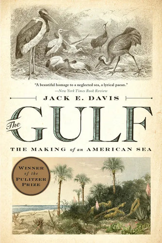The Gulf: The Making of an American Sea - Paperback