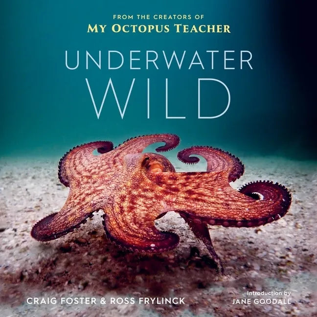 Underwater Wild: My Octopus Teacher's Extraordinary World - Hardcover