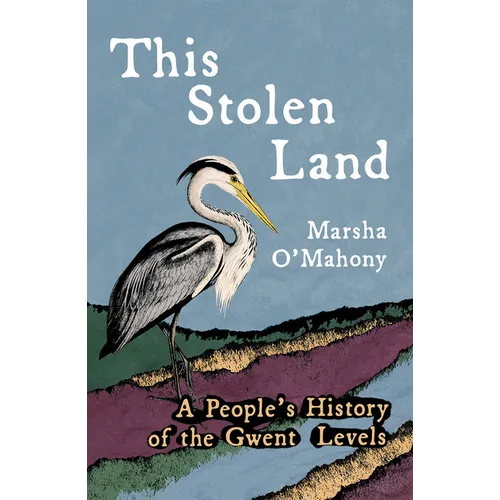 This Stolen Land: A People's History of the Gwent Levels - Paperback