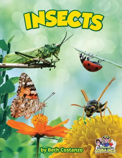 Insects - Paperback