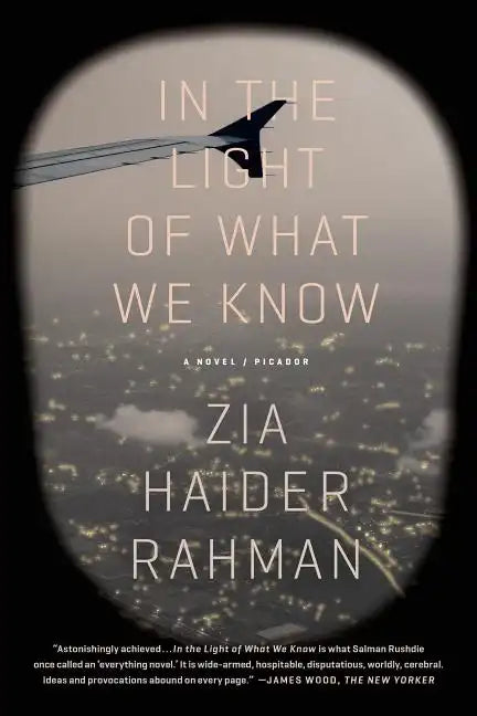 In the Light of What We Know - Paperback