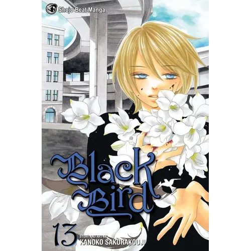 Black Bird, Volume 13 - Paperback