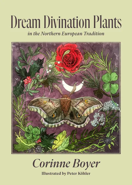 Dream Divination Plants: In Northwestern European Traditions - Paperback