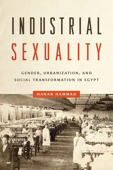 Industrial Sexuality: Gender, Urbanization, and Social Transformation in Egypt - Paperback