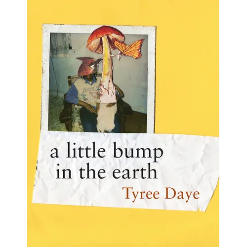 A Little Bump in the Earth - Paperback