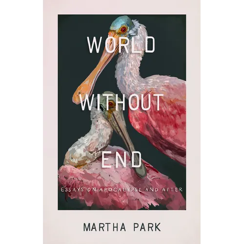 World Without End: Essays on Apocalypse and After