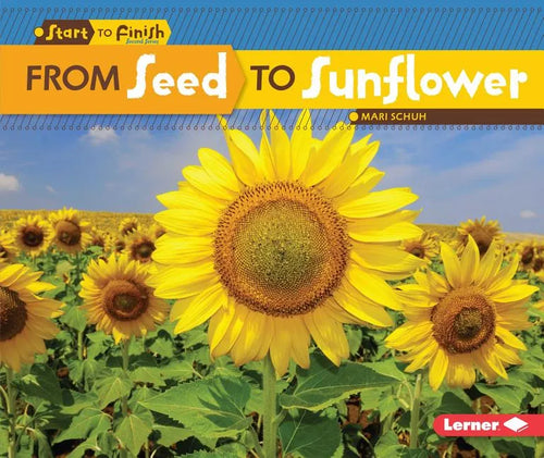 From Seed to Sunflower - Paperback