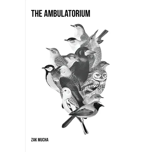 The Ambulatorium - Paperback