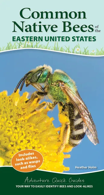 Common Native Bees of the Eastern United States: Your Way to Easily Identify Bees and Look-Alikes - Spiral