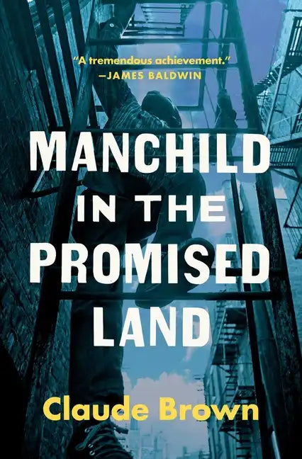 Manchild in the Promised Land - Paperback