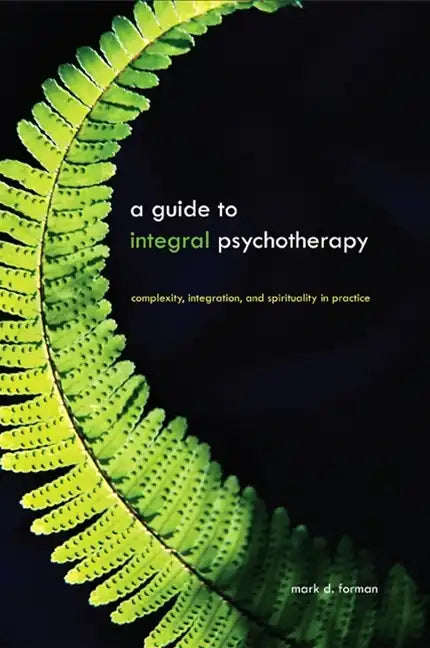 A Guide to Integral Psychotherapy: Complexity, Integration, and Spirituality in Practice - Paperback