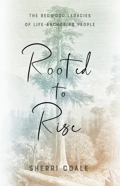 Rooted to Rise: The Redwood Legacies of Life-Anchoring People - Paperback
