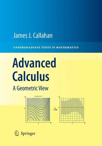 Advanced Calculus: A Geometric View - Paperback