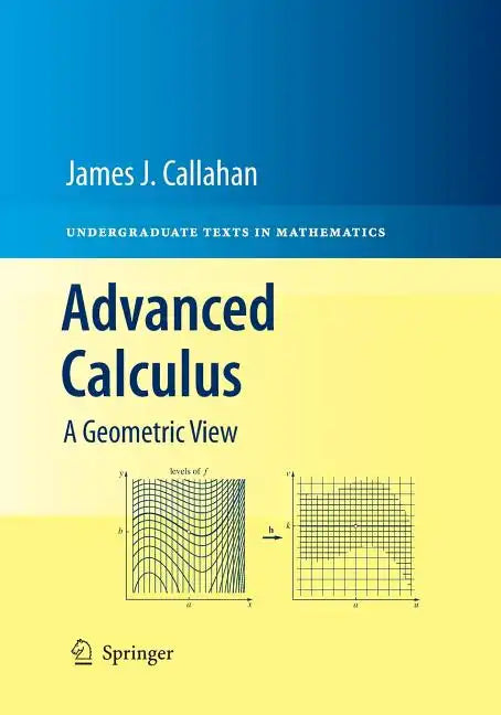 Advanced Calculus: A Geometric View - Paperback