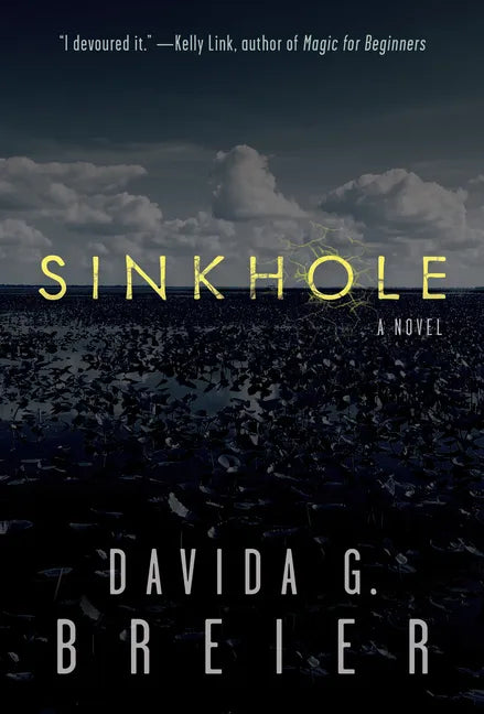 Sinkhole - Paperback