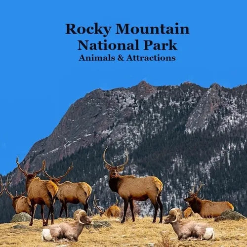 Rocky Mountain National Park Animals & Attractions Kids Book: Great Way for Kids to See the Animals and Attractions in Rocky Mountain National Park - Paperback