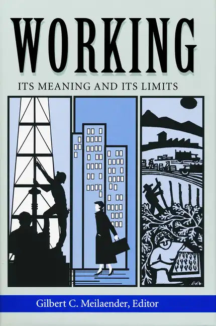 Working: Its Meanings and Its Limits - Paperback