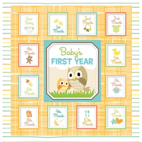 Baby's First Year - Hardcover