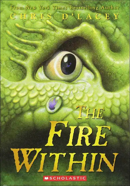 The Fire Within - Hardcover