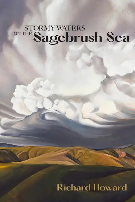 Stormy Waters on the Sagebrush Sea - Second Edition - Paperback