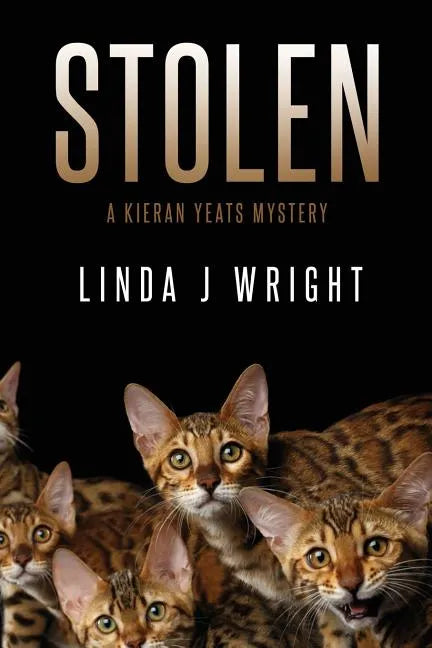 Stolen: A Kieran Yeats Mystery - Paperback