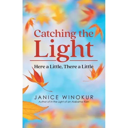 Catching the Light: Here a Little, There a Little - Paperback