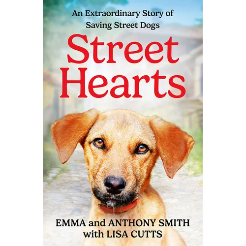 Street Hearts: An Extraordinary Story of Saving Street Dogs - Paperback