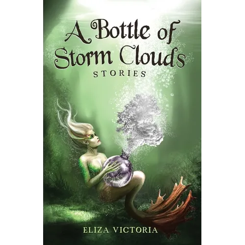 A Bottle of Storm Clouds - Paperback
