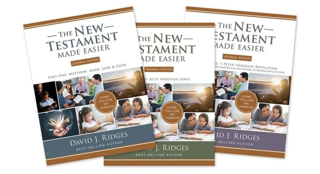 New Testament Made Easier Journal Edition - Paperback