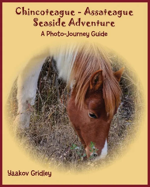 Chincoteague-Assateague Seaside Adventure: A Photo-Journey Guide - Paperback