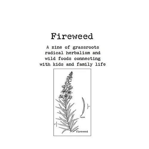 Fireweed #1: A Zine of Grassroots Radical Herbalism and Wild Foods Connecting with Kids and Family Life - Paperback