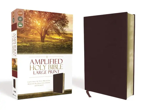Amplified Bible-Am-Large Print: Captures the Full Meaning Behind the Original Greek and Hebrew - Bonded Leather