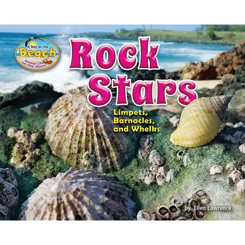 Rock Stars: Limpets, Barnacles, and Whelks - Library Binding