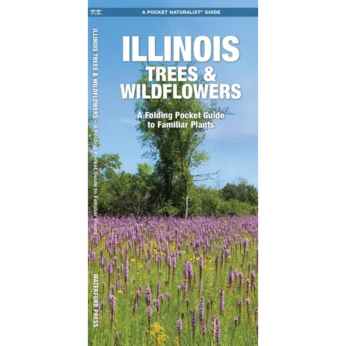 Illinois Trees & Wildflowers: A Folding Pocket Guide to Familiar Plants - Hardcover