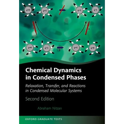 Chemical Dynamics in Condensed Phases: Relaxation, Transfer, and Reactions in Condensed Molecular Systems - Hardcover