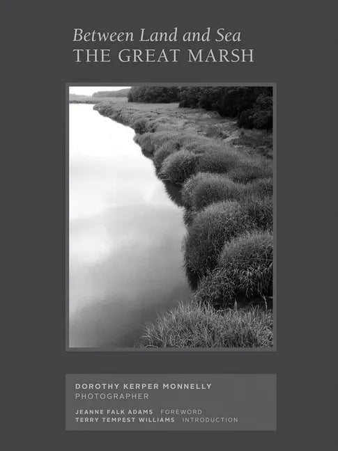 Between Land and Sea: The Great Marsh: Photographs by Dorothy Kerper Monnelly - Hardcover