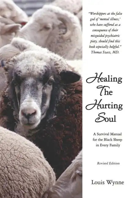 Healing the Hurting Soul: Revised Edition - Paperback