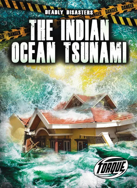 The Indian Ocean Tsunami - Library Binding