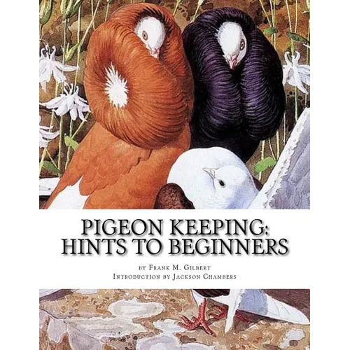 Pigeon Keeping: Hints To Beginners - Paperback