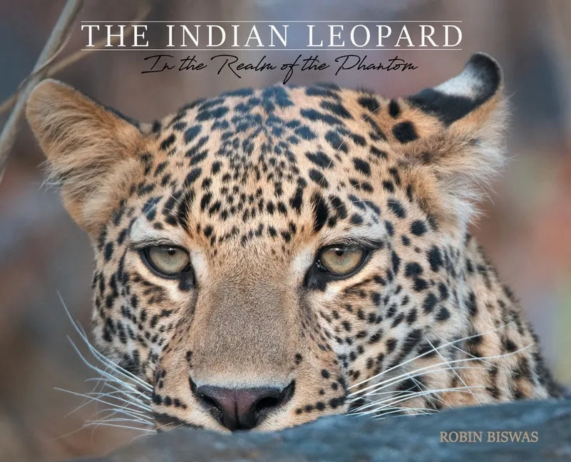 The Indian Leopard: In the Realm of the Phantom - Hardcover